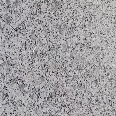 G383 Fjura tal-Perla tal-Granit